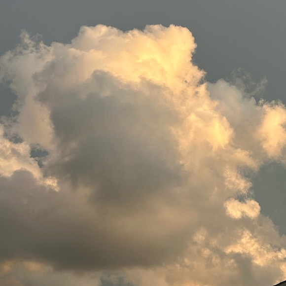 LēAnna is actually live?!?!?!? LIVE SHOW LISTING - Picture 8 of 8